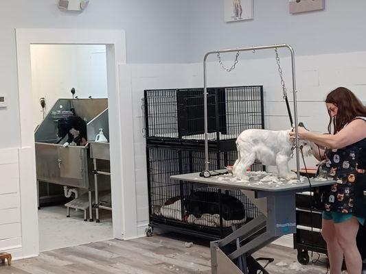 This cool groomers does just one thing, groom doggies!!