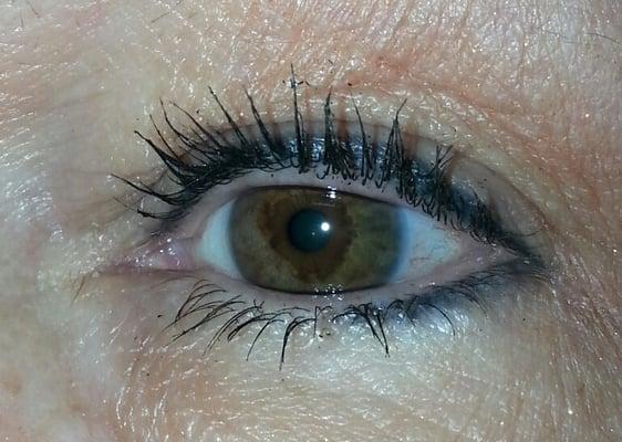 permanent makeup tattoo eyeliner by WandaEnoch.com