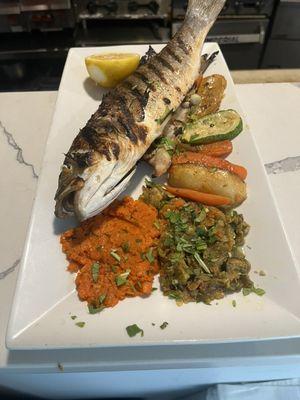 Blue Olive Mediterranean Cuisine