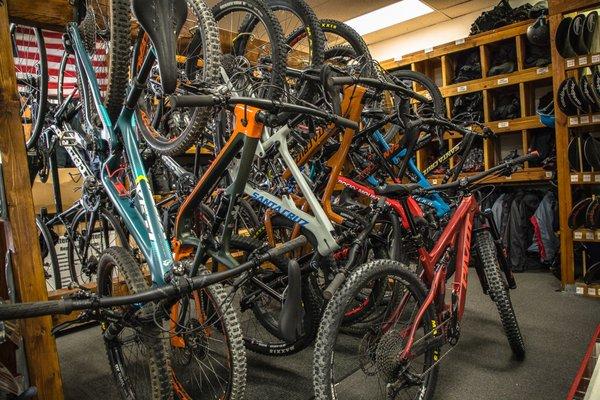 Mountain bike rentals