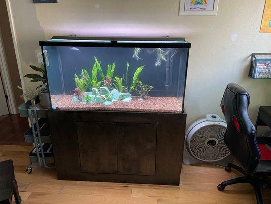 80 gallon aquarium setup