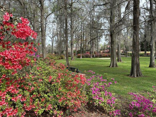 Bench and lawn at Edisto Gardens