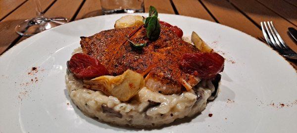 Mushroom risotto with Salmon.