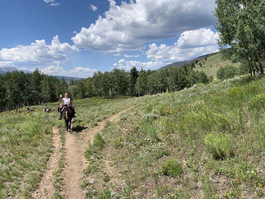 Mostly open field trails with sweeping vistas.