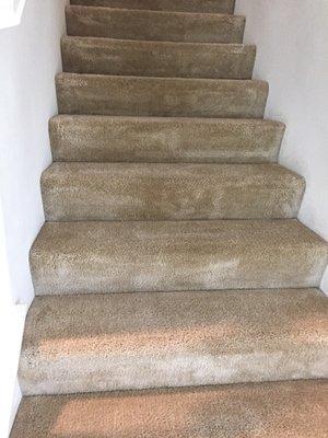 Ace deep quality cleaning of stairs case.