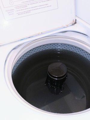 Dirty water that was sitting in the washer for almost a month - smelled disgusting!