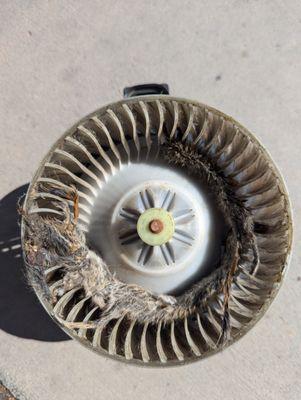 This is the condition my blower was in when I left Zerby Automotive in Canon City, Colorado.