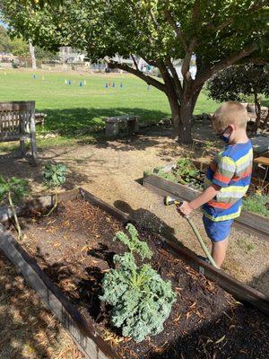 Each classroom has their own garden which they help maintain.