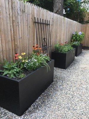 Low maintenance butterfly garden we installed and planted in Bed-Stuy, Brooklyn.