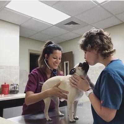 Everyone that works here is so sweet and caring, Leila loves her friends at Maui Veterinary Clinic