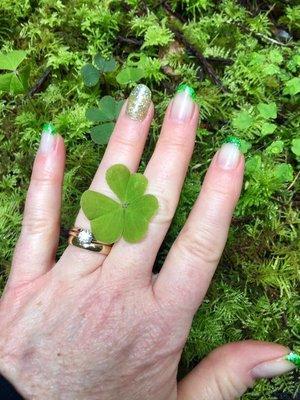 We do gel polish nails, and natural nail manicures