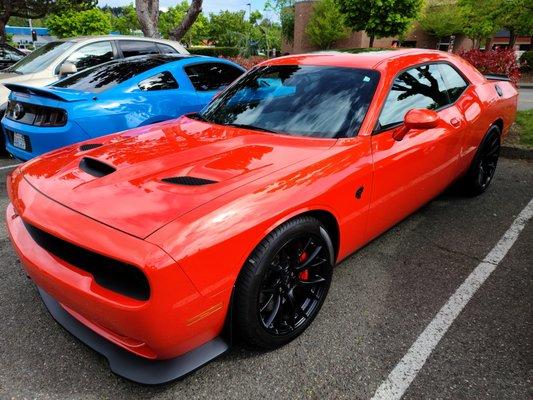 Hellcat coated with Crystal Serum Lite