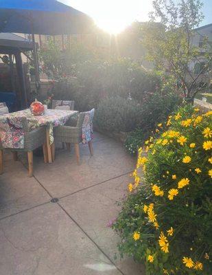 Raised bed- gazebo and lovely flowers.