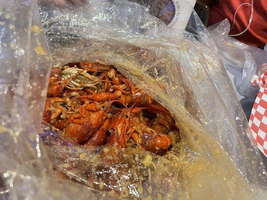 1 lb. Live Crawfish