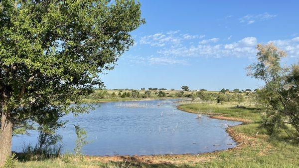 Lake is next to property.