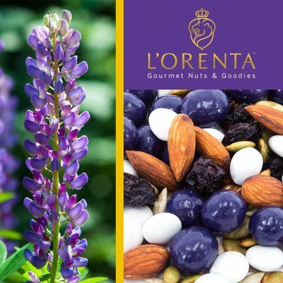 L'Orenta Nuts & Goodies Bluebonnet Harvest Mix Texas