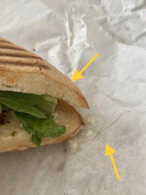 Two strands of hair in sandwich.