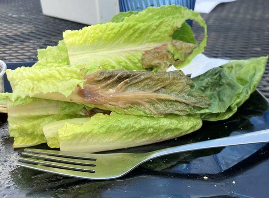 I ordered the lettuce wraps, needless to say I didn't eat any of the lettuce.  So gross!