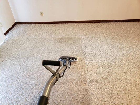 Carpet Cleaning