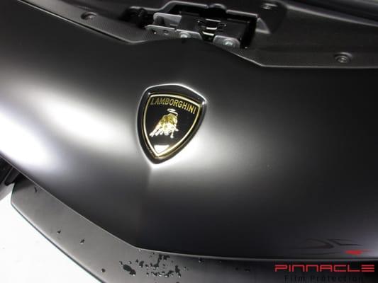 Lamborghini Aventador received Complete XPEL STEALTH - Satin Paint Protection Film, aka Clear Bra 
  pinnaclefilmpro.com