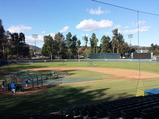 the outfielders shagging balls