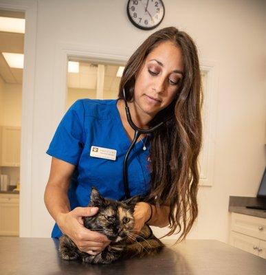 The Animalife Veterinary Center at Eagle Creek