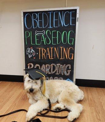 Another Graduate! Congratulations Puffin!