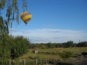 Ballons over GVS