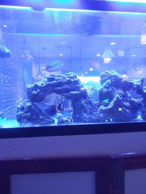 Fish tank near pedicure