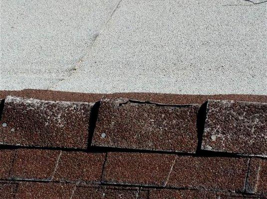 most every shingle was in this condition.