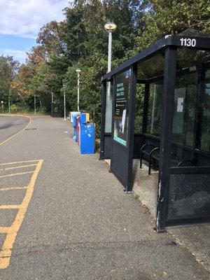 Bus Shelter at Bainbridge Ferry Terminal