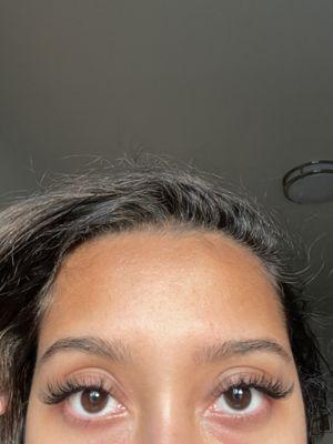 Sexy wispy 14/16 hybrid- 3 week lash refill