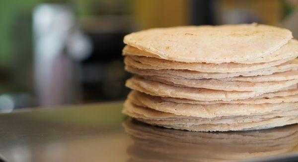 Fresh corn tortillas