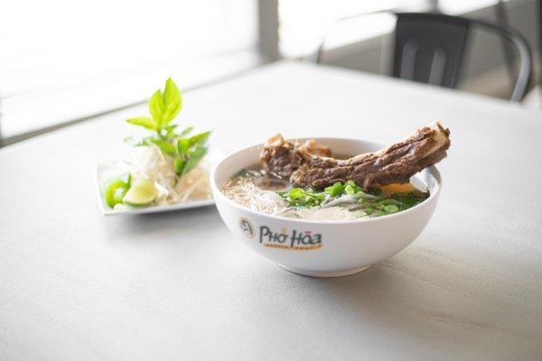 Beef Rib Pho