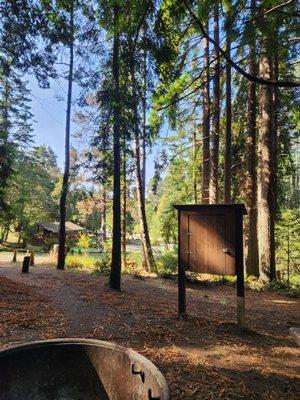 From campsite 54 looking towards bathroom (flush toilets and cold water) and campsite 55.  Campsite 55 is directly across from bathroom.