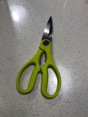 Kitchen shears