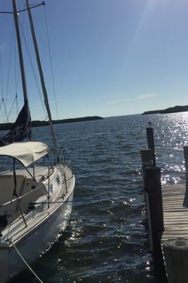 Looking out from their docks towards Sarasota Bay.