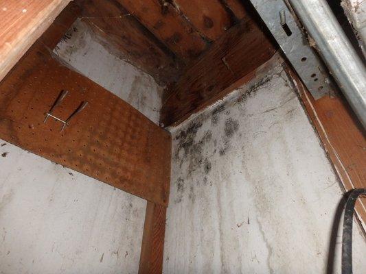 Fungal or microbial growth, like mold, can present safety issues.