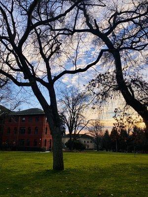 University Of Washington School Of Law