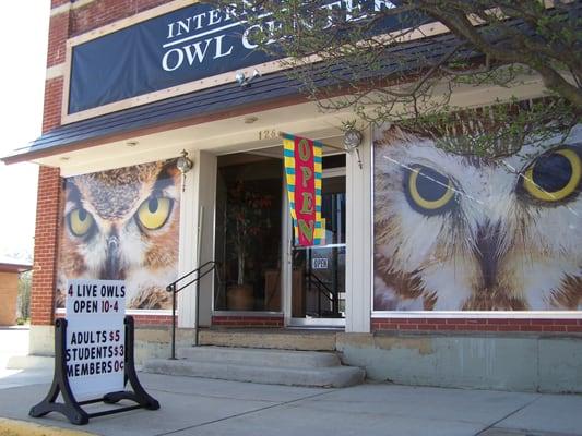 Front of the International Owl Center