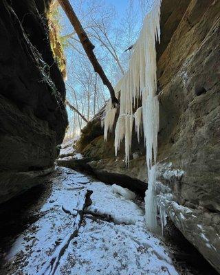 Bear Hollow (trail 5)