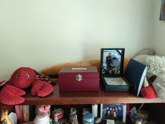 Favorite stuffed animals, paw print with photo, leash & ashes