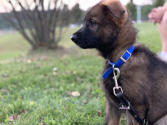 enjoying the outdoors!