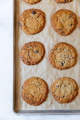 Chocolate Chip Cookie