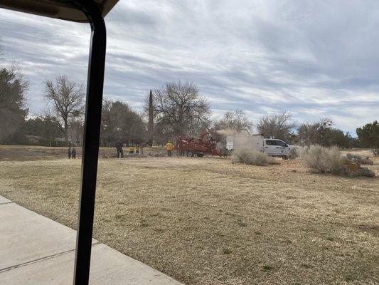 WOOD CHIPPING WHILE GOLFING!