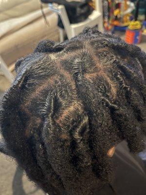 Dreadlocks By Haya