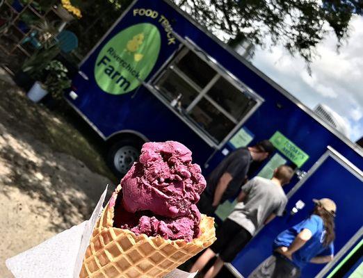 We make our own ice cream in the food truck! All dairy free with coconut milk. This is our Blueberry Cream