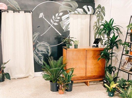 The New BWH plant mural located inside our collaborative store with Freehand Goods