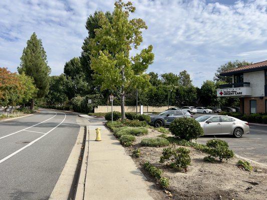 Street-view of office entry.