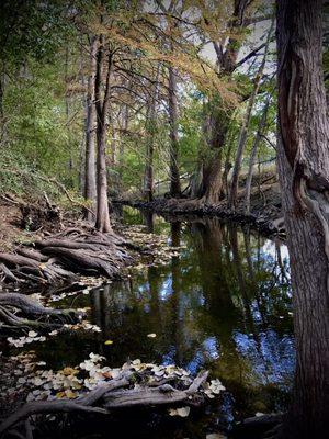 The river trail is amazing!!